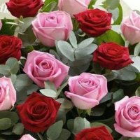 إكليل الورد 🌹 🌹 (@ae1234aea) 's Twitter Profile