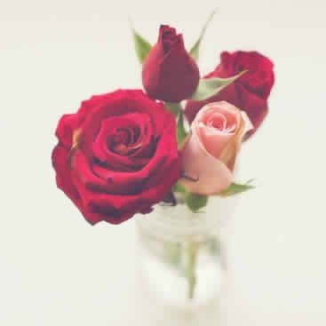 Hy3bdel9mad's profile picture. ( وَلَا تَا۟یۡـَٔسُوا۟ مِن رَّوۡحِ ٱللَّهِۖ إِنَّهُۥ لَا یَا۟یۡـَٔسُ مِن رَّوۡحِ ٱللَّهِ إِلَّا ٱلۡقَوۡمُ ٱلۡكَـٰفِرُونَ)