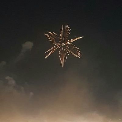 rutus_qud's profile picture. 