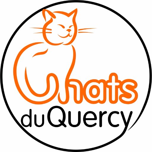 Notre Mission : Encourager un monde où les besoins des chats sont connus, acceptés et respectés.
Notre centre d’adoption est ouvert sur rdv chaque jour.