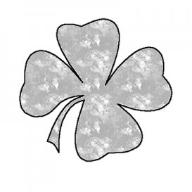 kleeblattkoa's profile picture. In Sondierung