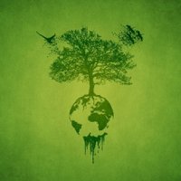 Camino Verde. Green Way (@verde_way) 's Twitter Profile Photo Camino Verde. Green Way (@verde_way) 's Twitter Profile Photo
