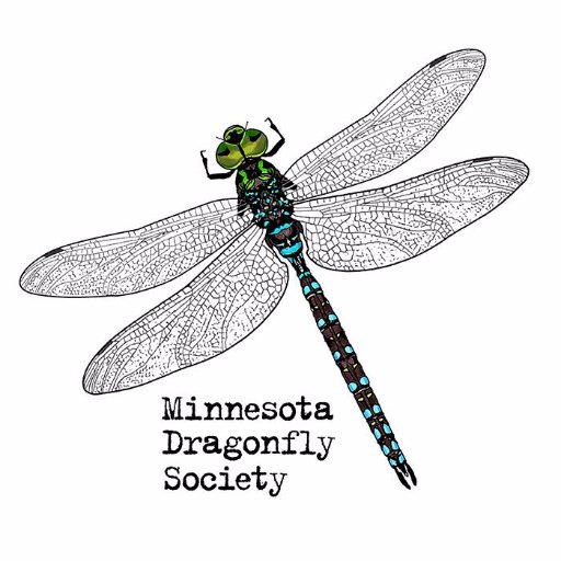 Ensuring the Conservation of Minnesota’s Dragonflies and Damselflies through Research and Education.
