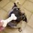CapenthePug's profile image