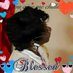 Sister Niney (@nineycudjo1) Twitter profile photo Sister Niney (@nineycudjo1) Twitter profile photo