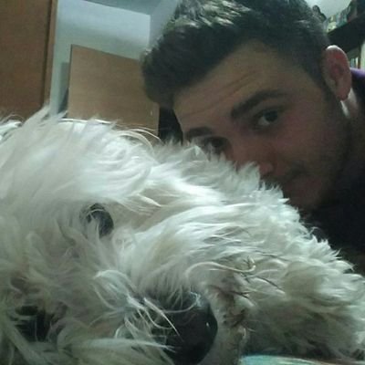 Aprendiz de ingeniero informatico. De vez en cuando voy al cine.
Letterboxd: https://t.co/CggM7HEWfp