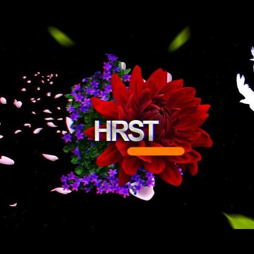 llHrstll's profile picture. Player x Designer