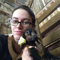 Manon Chasles (@mnchasles) 's Twitter Profile