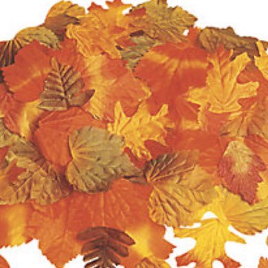 tinleaves's profile picture. 