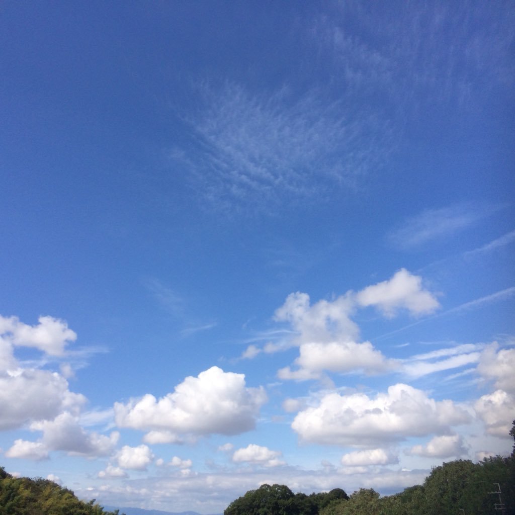 comso99's profile picture. 親切にする、動物、散策が好き。
迷惑をかける、羨ましく思われるのは嫌い。音声を受けるものが備わっている。