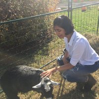 Ritika Gudhe (@ritikagudhe) 's Twitter Profile