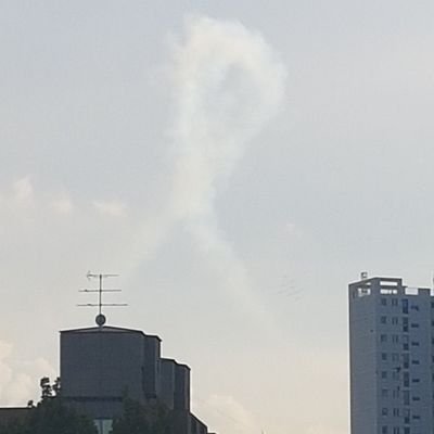 tirex815's profile picture. 