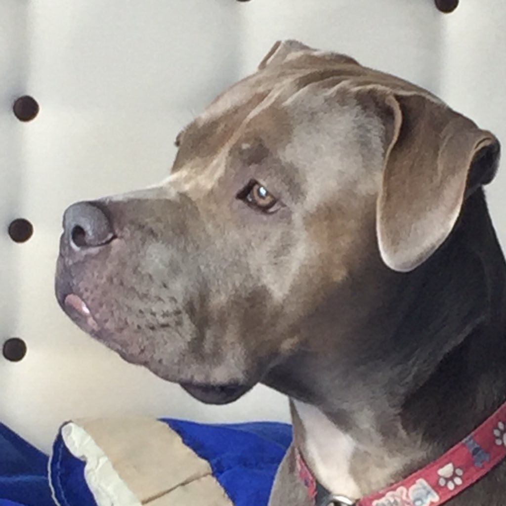 el_arthudrink's profile picture. yo era trotamundos, hasta que llegue al caribe, mi futuro no es incierto, por que se lo que quiero, tengo una rara enfermedad llamada old fashion