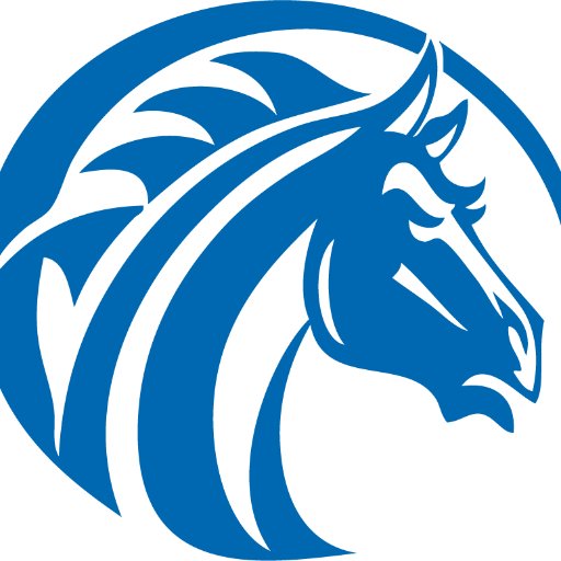 FSUBroncos Profile Picture