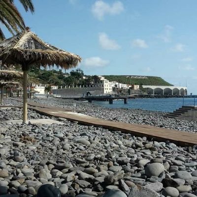 IkkiD0Fenix's profile picture. Cualquier vaina