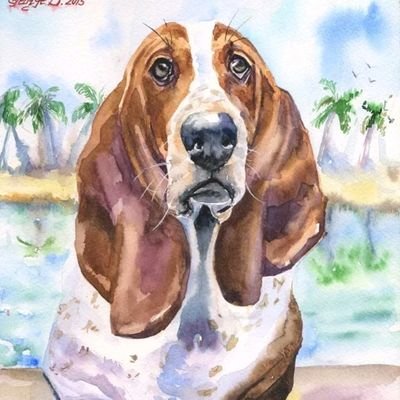 teamusa027's profile picture. 