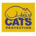 CPStHelens (@cp_sthelens) Twitter profile photo CPStHelens (@cp_sthelens) Twitter profile photo