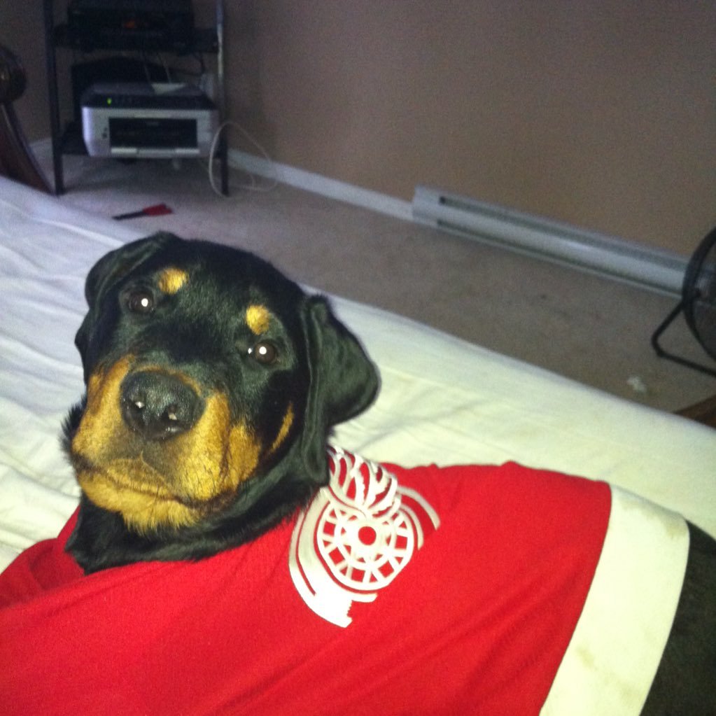 theqpd's profile picture. Radio guy, family man, sports fan and enthusiast of nicely pressed slacks.