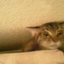 Dan Morrow - @danmacmovietime - Twitter