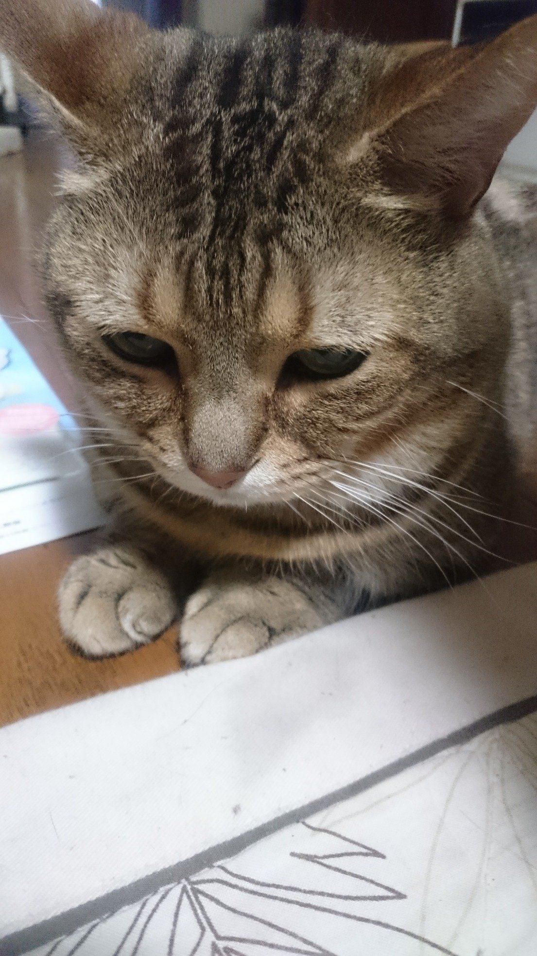 EmlrQciIZaXhACp's profile picture. 