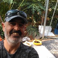 Juan Pablo Felipe (@juanpablofelip2) 's Twitter Profile