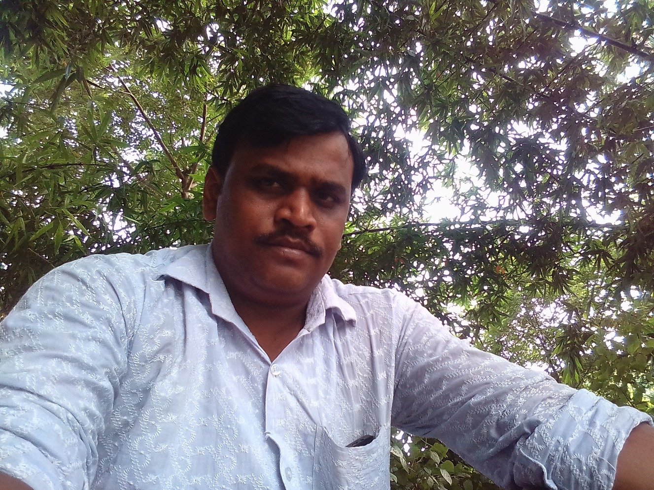 maji_sadhan's profile picture. 