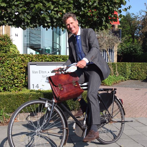 Gymnastiekleraar; lijsttrekker; notaris, Weesp. Vertaler van juridische teksten in normaal Nederlands en omgekeerd.