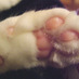 ãŠããŒã¿ (@kagishippo10) Twitter profile photo ãŠããŒã¿ (@kagishippo10) Twitter profile photo