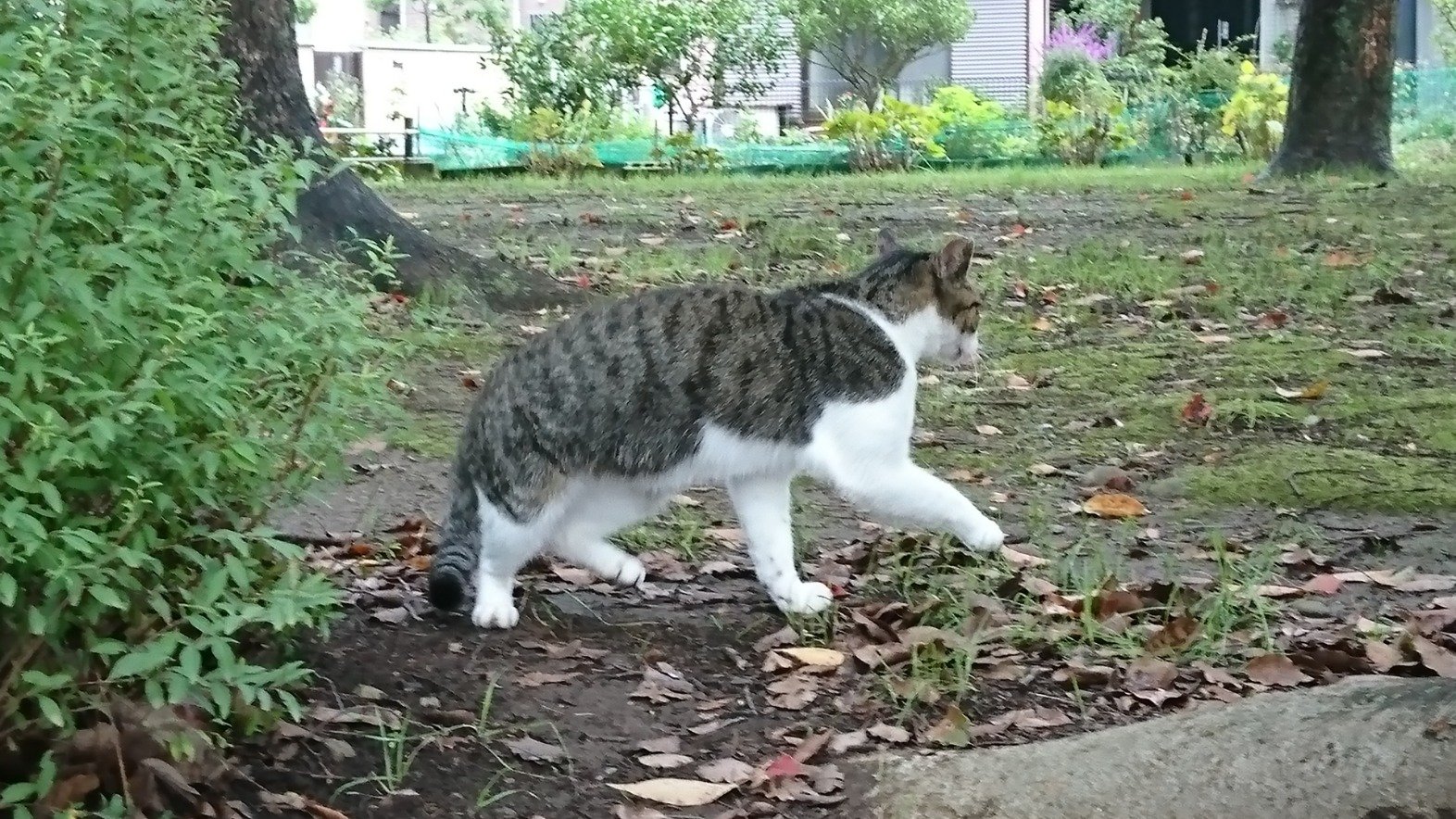 hark_ab's profile picture. FC町田ゼルビア、ASVペスカドーラ町田、横浜DeNAベイスターズを応援。江戸川乱歩と横溝正史を愛読。芝居観劇、美術館巡り、その他もろもろ。