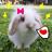 wi_rabbit's profile image