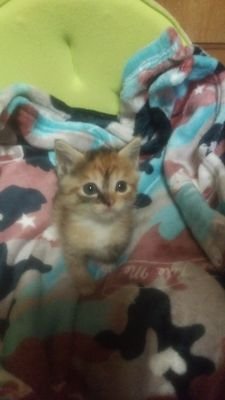 ZhoGvUZPw6csweN's profile picture. 