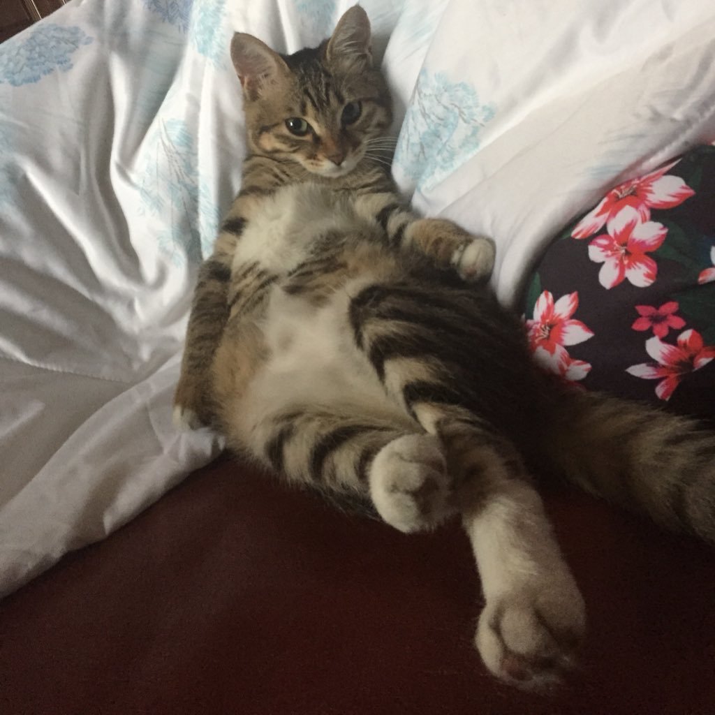 violet0119LEE's profile picture. live for life