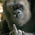 è£å¢ãœã¡ã奜ããã¡ã³ã· (@pk2kilasp7nx87u) Twitter profile photo è£å¢ãœã¡ã奜ããã¡ã³ã· (@pk2kilasp7nx87u) Twitter profile photo