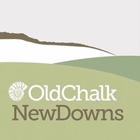 Old Chalk New Downs(@OldChalkNewDown) 's Twitter Profile Photo