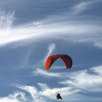 Miguel14629319's profile picture. Don't try to show an old dog new tricks ,he knows them all .