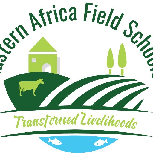 We are an independent Field School Hub advocating for the institutionalization of the approach in eleven countries of Eastern Africa.