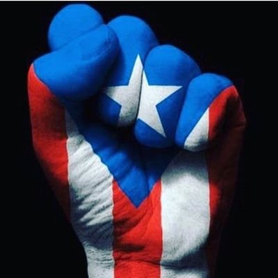 ecvknicks's profile picture. 