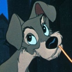 shoun908's profile picture. 🇫🇷FRENCH LINK🐓🐟•🥘Wallet・大知識人・😎KFC・🎹K.ODA・CONVOY・🐶シュナラバー❣️🐼🦆ZOO LOVER❣️