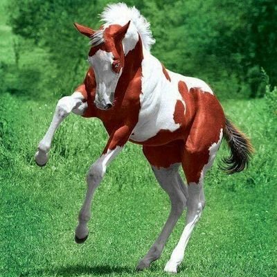 nLk5vB036uWOdbN's profile picture. ‏الأخبار