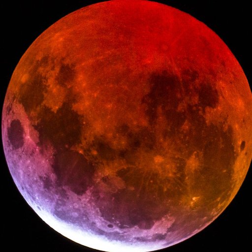 IotaMoon's profile picture. Germanistan. #remigration
💙