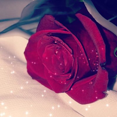 Zanoob510's profile picture. "للهِ سلَّمتُ أمرًا لستُ أَعلمهُ  مالي على حِملِه لكن سَأرضاهُ ربّـاهُ لولاكَ لا سندٌ و لا أحدٌ  فأنتَ حَسبي وَحَسْبِي أنّكَ اللهُ."