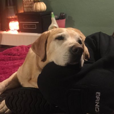 may122009's profile picture. 