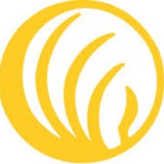 NAMI San Francisco Profile