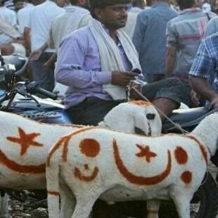 हिंदुस्तान मेरी जान, इस्लाम मेरा ईमान, श्रीराम मेरी शान, अयोध्या मेरी पहचान, इसके आगे कुछ नहीं मियां!