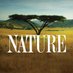 Nature (@PBSNature) Twitter profile photo