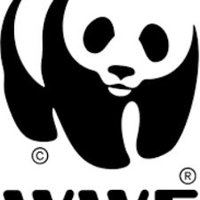 World Wildlife Fund(@WorldWildlifeF) 's Twitter Profileg