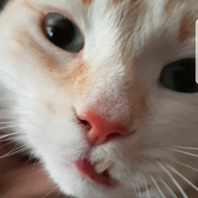 notactive1999's profile picture. 