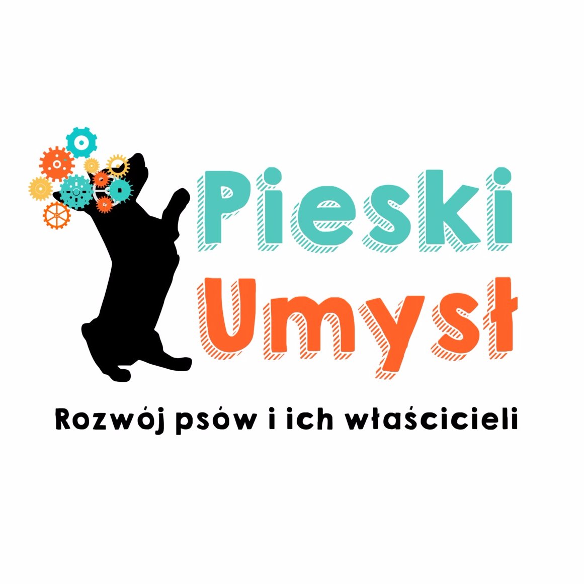 blog o rozwoju psów i ich właścicieli 🐾