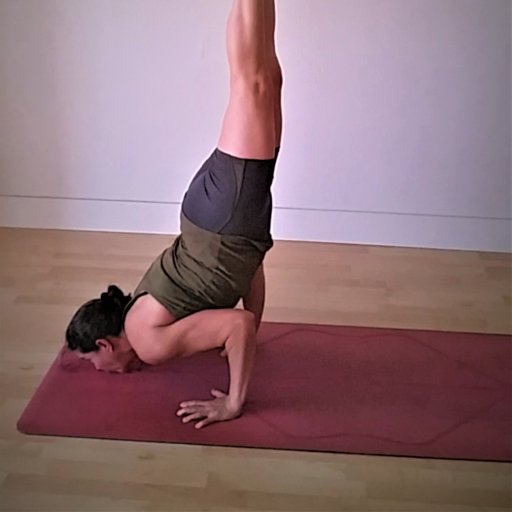 Human Being, Seeker, Yogi, Mother, Wife, Options Trader, citizen of the world.