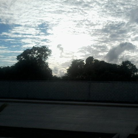 LYelmoDIOSMEXJS's profile picture. 